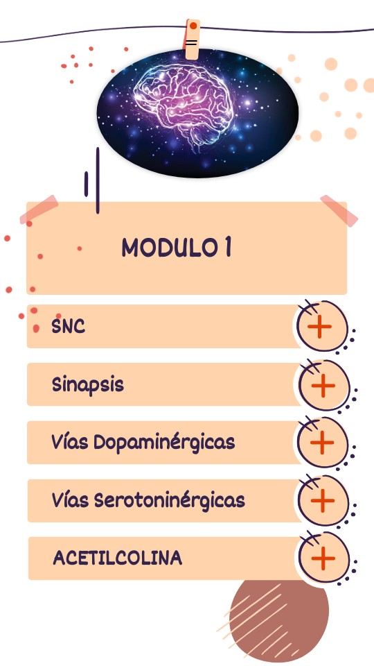 modulo 1