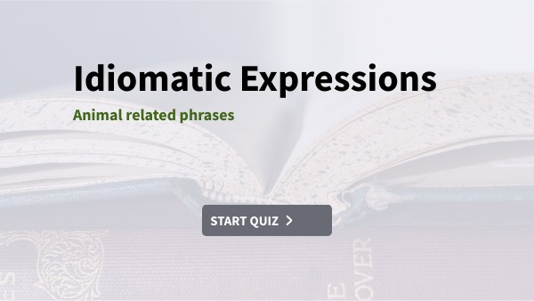 Idiomatic Expressions Genially