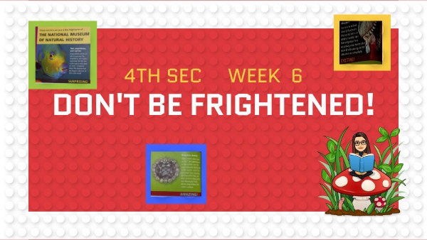 S4 WEEK 6