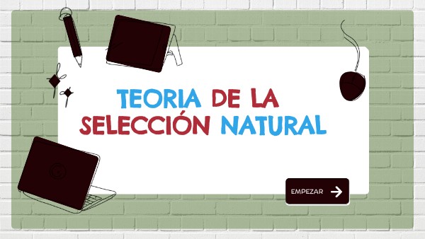 FLASHCARD AMPLIAR