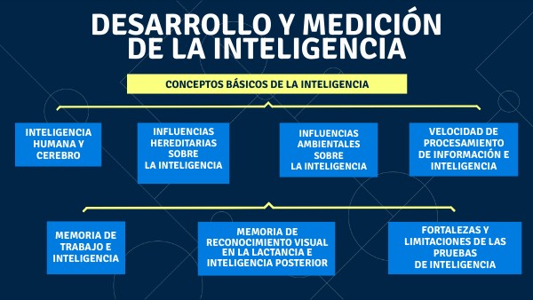 MAPA CONCEPTUAL | Genially
