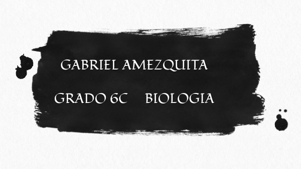 PRESENTACIÓN GABRIEL AMEZQUITA | Genially