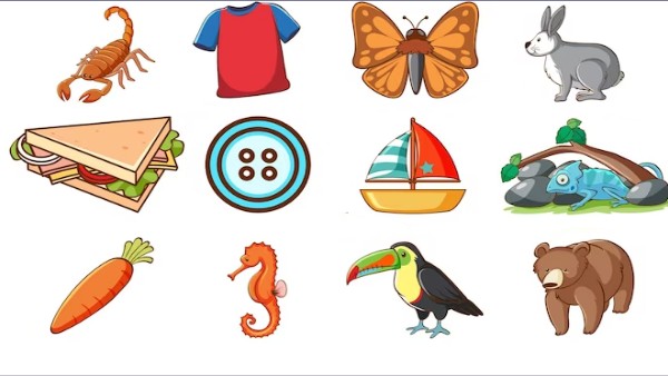 Kids 4 - Random images / questions