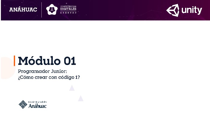 MÓDULO 1