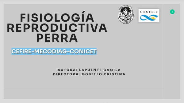 Copy - DIGITAL TECH PRESENTATION