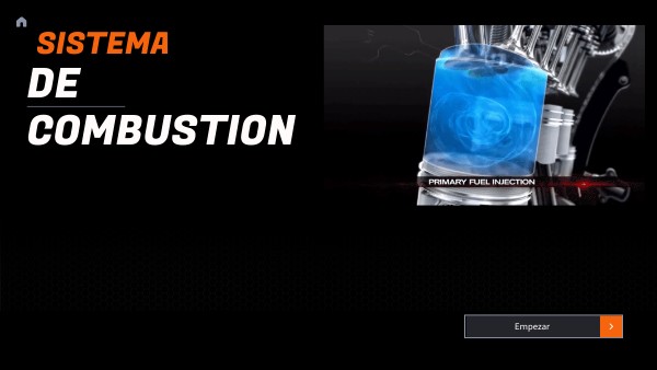 sistema de combustion