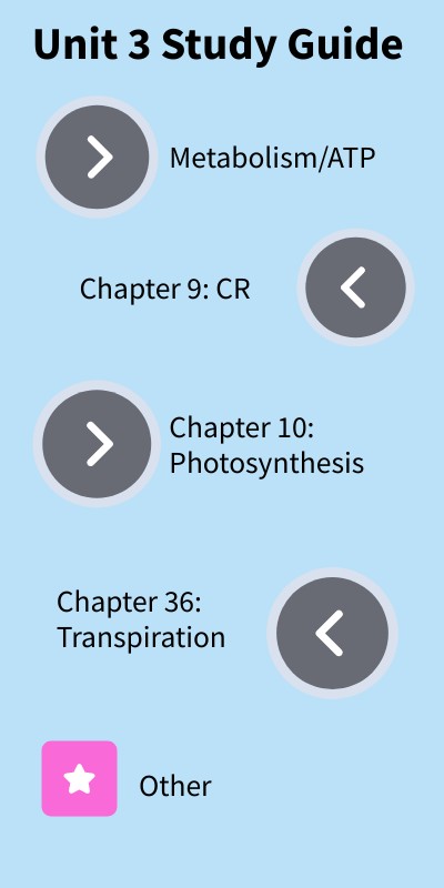 Unit 3 Study Guide