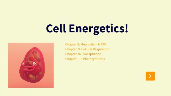 Unit 3- Cell Energetics