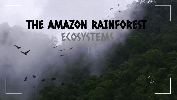 Amazon Rainforest Genially