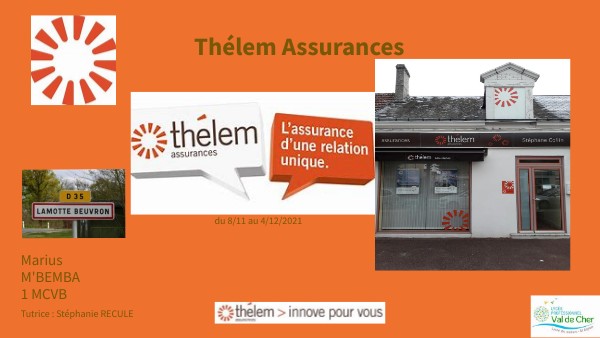 THELEM ASSURANCES | Genially