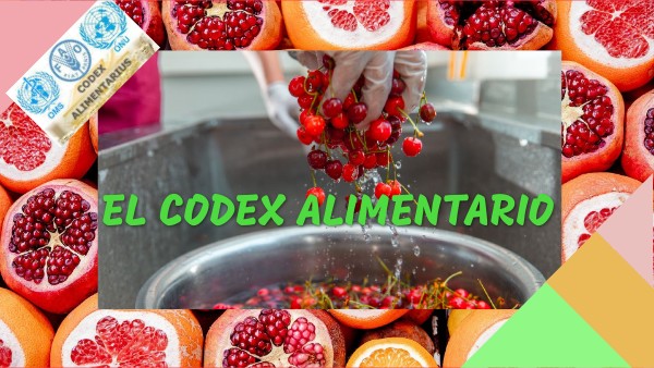 CODEX ALIMENTARIO | Genially