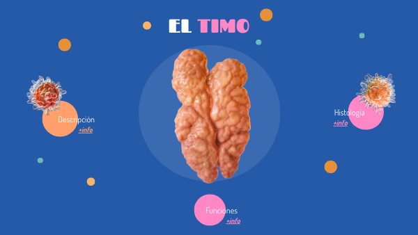 TIMO