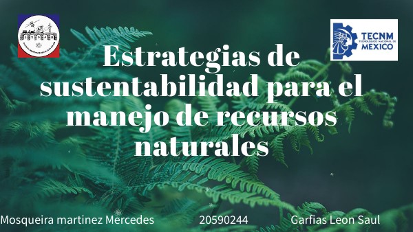 ESTRATEGIAS DE SUSTENTABILIDAD PARA EL MANEJO DE RECURSOS NATURALES