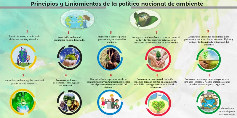 Principios y Lineamientos de la política nacional d