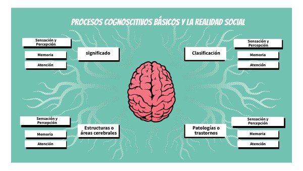 BRAIN MINDMAP | Genially