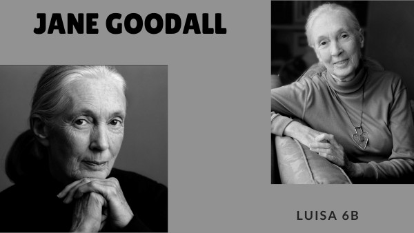 Jane Goodall
