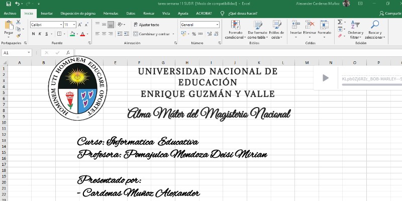 FUNCIONES BASICAS DE EXCEL | Genially