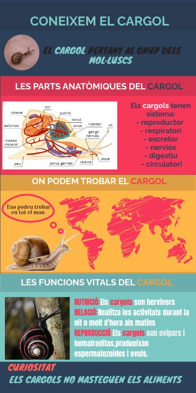 INFO CARGOL | Genially