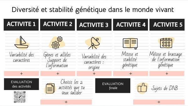 Stabilité et diversité génétique des individus | Genially