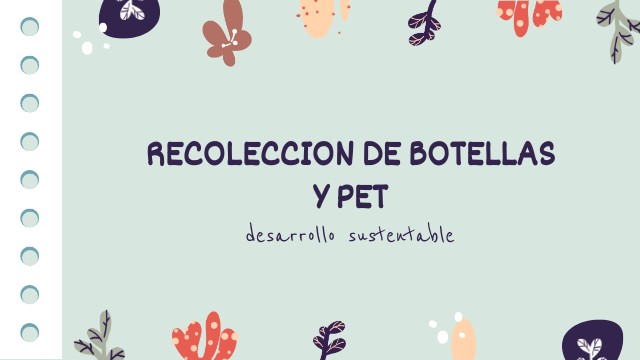 VIDEO PET