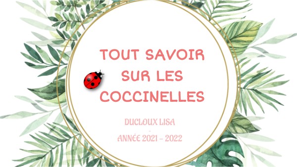 Tout savoir sur les coccinelles