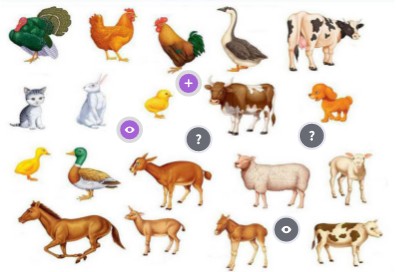 Interactive image: Pets and Animals | Genially
