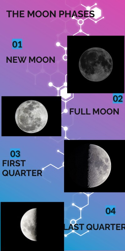 The moon phases | Genially