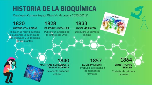 Linea De Tiempo De La Bioquimica view.genially.com