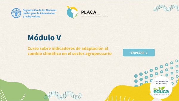 Español- Módulo 5 | Genially