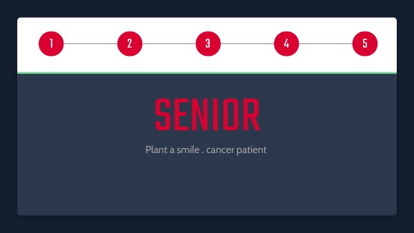SENIOR PROJECT