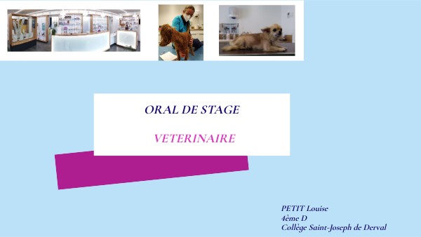 stage vétérinaire | Genially