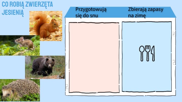 Co robią zwierzęta jesienią 3-latki