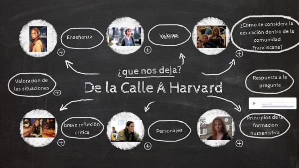 De la Calle A Harvard