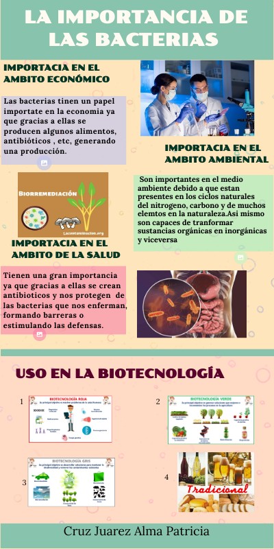 IMPORTANCIA DE LAS BACTERIAS | Genially