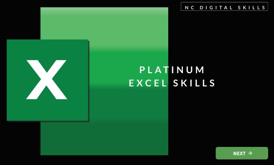 Excel Task 1 Info