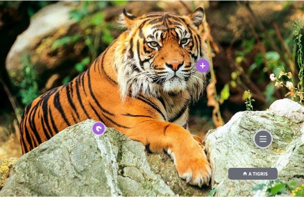 Interactive image | Genially