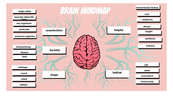 BRAIN MINDMAP | Genially