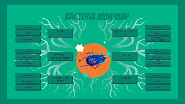 BRAIN MINDMAP | Genially