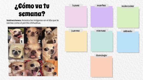 Días de la semana | Genially