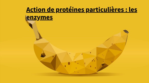 Copy - BASIC PRESENTATION | Genially