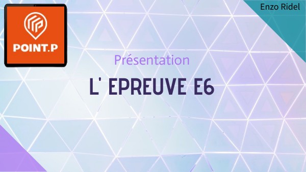 Copie - BLUE GEOMETRY PRESENTATION