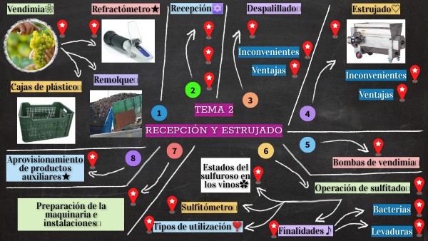 Mapa conceptual TEMA 2 | Genially
