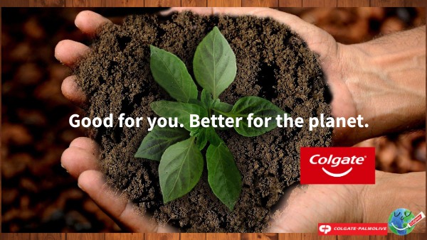 Colgate - Essay - English2 | Genially