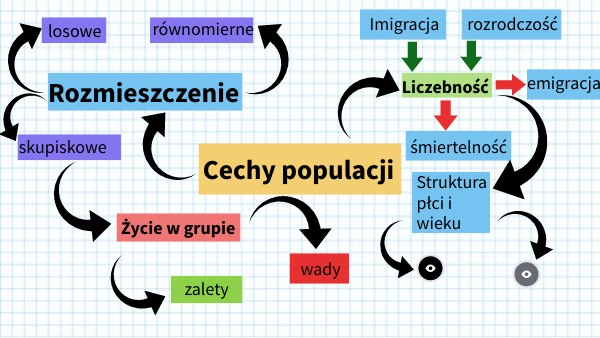Cechy Populacji 3 Sprawdzian Gimnazujm