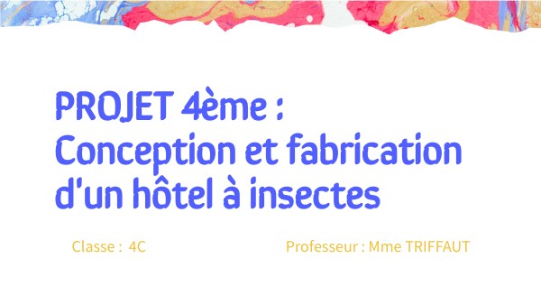 PRESENTATION PROJET 4C | Genially