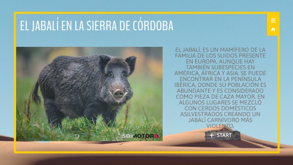PRESENTACIÓN Jabalí