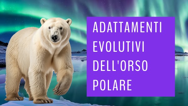 orso polare | Genially