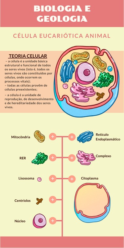 CELL VERTICAL INFO | Genially