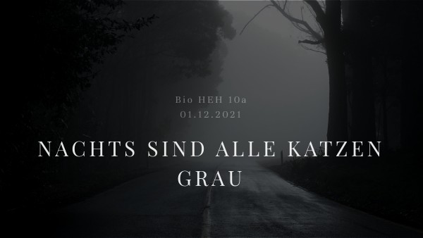 Nachts Sind Alle Katzen Grau Nachts sind alle Katzen grau