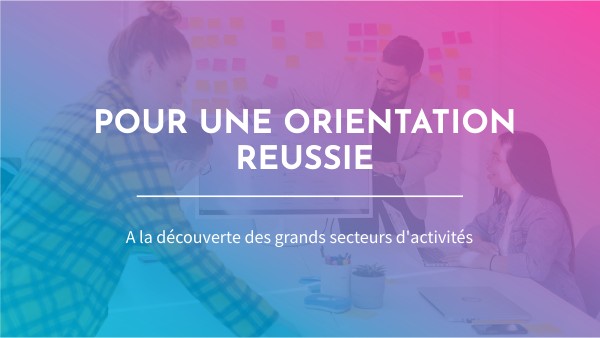 GRANDS SECTEURS D'ACTIVITES